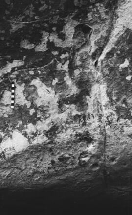 NMSA 03 8875P