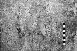 NMSA 03 4092P