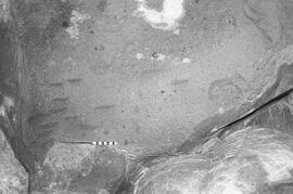 NMSA 03 1757P