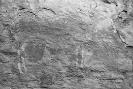 NMSA 03 7795P