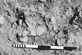 NMSA 03 532P