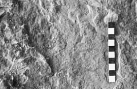 NMSA 03 1713P