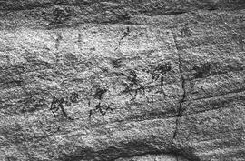 NMSA 03 125N