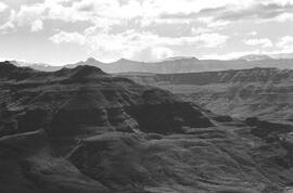 NMSA 03 5236P