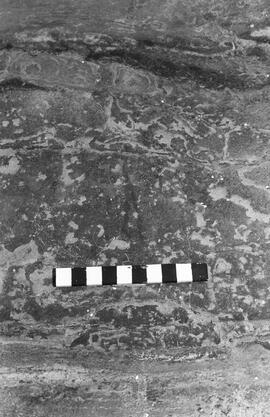 NMSA 03 1456P