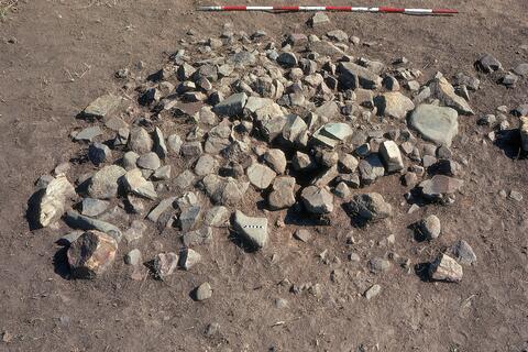 Open original Digital object