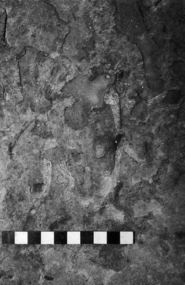 NMSA 03 3249P