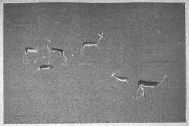 NMSA 03 109H