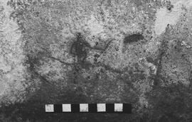 NMSA 03 4789P