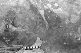 NMSA 03 1267P