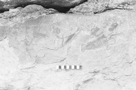 NMSA 03 312P