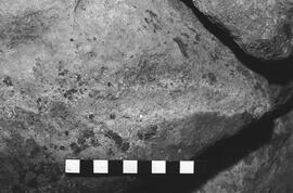 NMSA 03 6244P