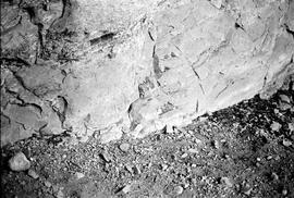 NMSA 03 4071P