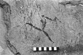 NMSA 03 1409P