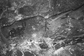 NMSA 03 8295P