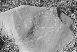 NMSA 03 7534P