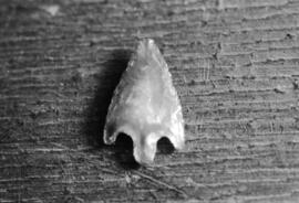 NMSA 03 8779P