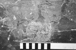 NMSA 03 450P