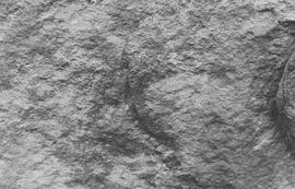 NMSA 03 943P