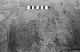 NMSA 03 1443P