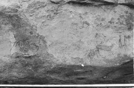 NMSA 03 234P