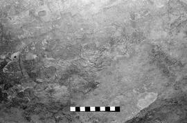 NMSA 03 5327P