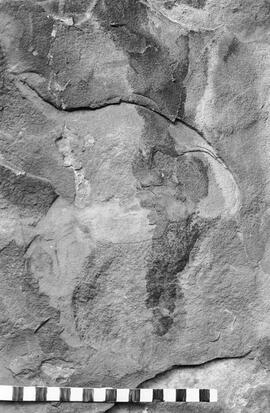 NMSA 03 1124P