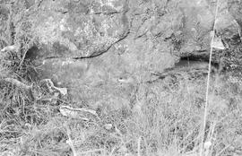NMSA 03 2120P