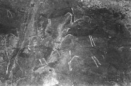 NMSA 03 244P