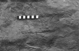 NMSA 03 333P