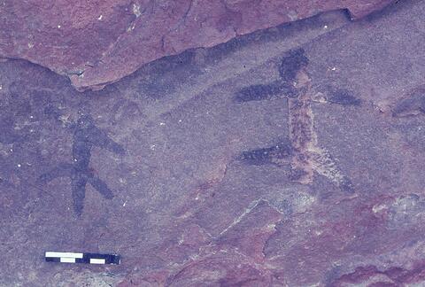 Open original Digitaal object