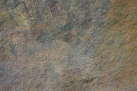 NMSA RSA SCD1 28D