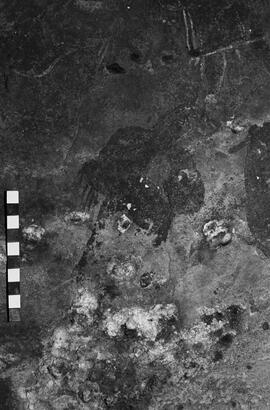 NMSA 03 6108P