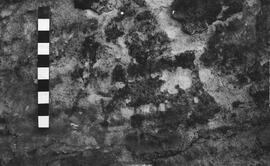 NMSA 03 2732P