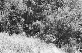 NMSA 03 1843P