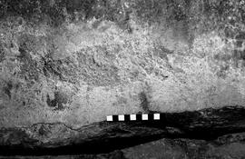 NMSA 03 4474P