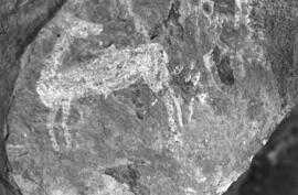 NMSA 03 8926P