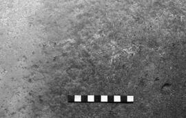 NMSA 03 4581P