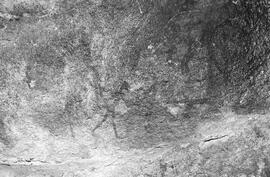 NMSA 03 143N