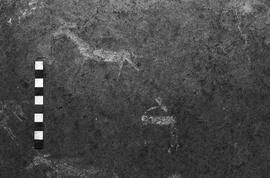 NMSA 03 4588P