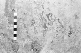 NMSA 03 1930P