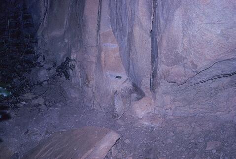 Open original Digital object