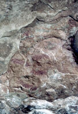 NMSA 02 275P