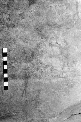 NMSA 03 6355P