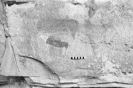 NMSA 03 1114P