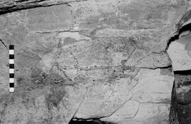 NMSA 03 4838P