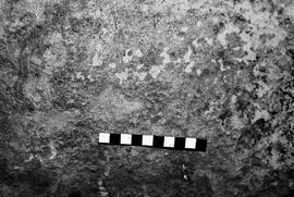 NMSA 03 3218P