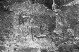 NMSA 03 7787P