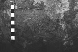 NMSA 03 4522P
