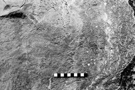 NMSA 03 4126P